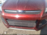 2015 Ford Escape Se Красный vin: 1FMCU0GX1FUB18236