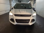 2015 Ford Escape Se vin: 1FMCU0GX1FUB21010