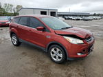 2015 Ford Escape Se Красный vin: 1FMCU0GX1FUC73966