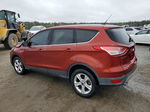 2015 Ford Escape Se Красный vin: 1FMCU0GX1FUC73966