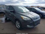 2016 Ford Escape Se Silver vin: 1FMCU0GX1GUA68231