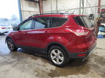 2016 Ford Escape Se Красный vin: 1FMCU0GX1GUB08484