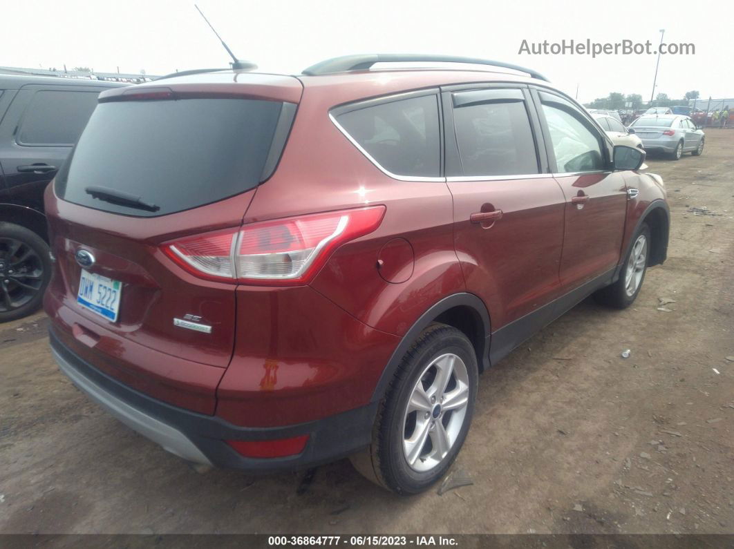 2016 Ford Escape Se Красный vin: 1FMCU0GX1GUB69656