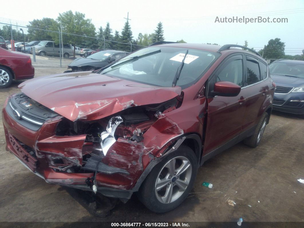 2016 Ford Escape Se Красный vin: 1FMCU0GX1GUB69656