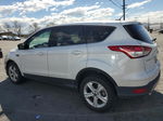 2016 Ford Escape Se White vin: 1FMCU0GX1GUC43934