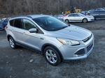 2014 Ford Escape Se Серебряный vin: 1FMCU0GX2EUA91157