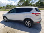 2014 Ford Escape Se White vin: 1FMCU0GX2EUC00944