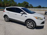 2014 Ford Escape Se White vin: 1FMCU0GX2EUC00944