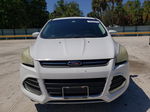 2014 Ford Escape Se White vin: 1FMCU0GX2EUC00944