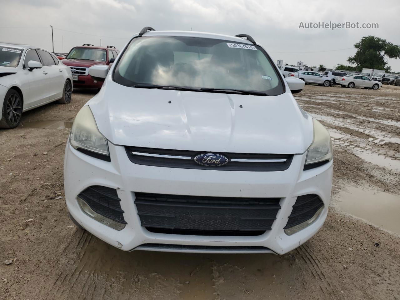 2014 Ford Escape Se White vin: 1FMCU0GX2EUC29909