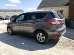 2014 Ford Escape Se Gray vin: 1FMCU0GX2EUD02759