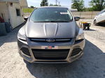 2014 Ford Escape Se Gray vin: 1FMCU0GX2EUD02759