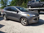 2014 Ford Escape Se Gray vin: 1FMCU0GX2EUD02759