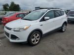 2014 Ford Escape Se White vin: 1FMCU0GX2EUD38242