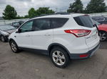 2014 Ford Escape Se Белый vin: 1FMCU0GX2EUD38242