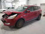 2015 Ford Escape Se Бордовый vin: 1FMCU0GX2FUB52363