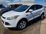 2016 Ford Escape Se Белый vin: 1FMCU0GX2GUA15344