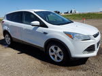 2016 Ford Escape Se Белый vin: 1FMCU0GX2GUA15344