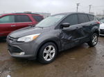 2016 Ford Escape Se Gray vin: 1FMCU0GX2GUB54258