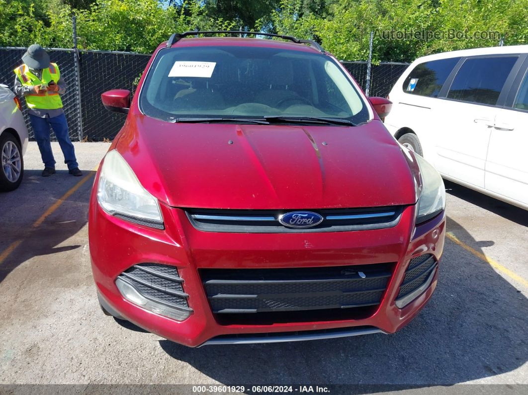 2013 Ford Escape Se Red vin: 1FMCU0GX3DUD52729