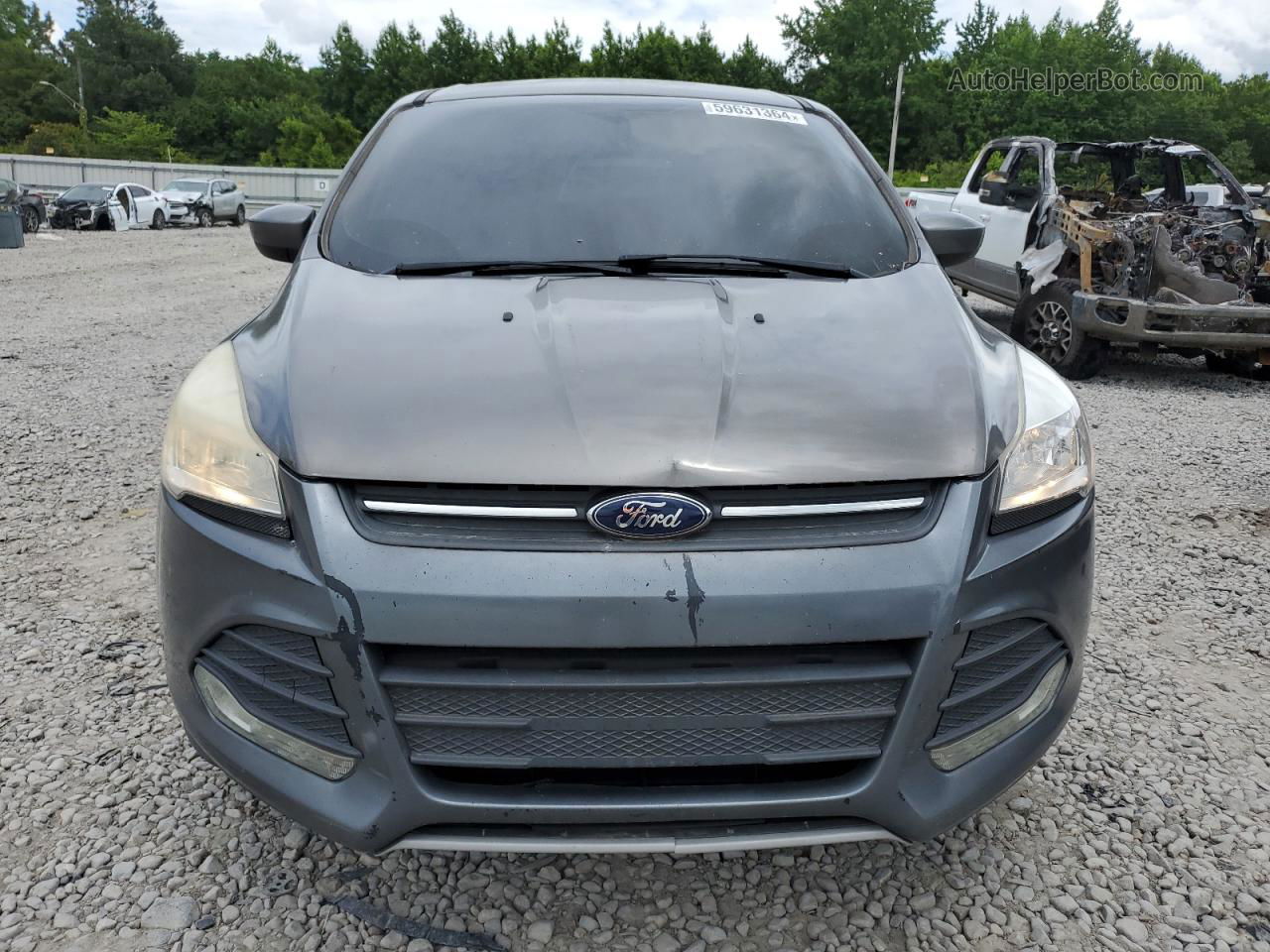 2014 Ford Escape Se Серый vin: 1FMCU0GX3EUA86341