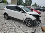 2014 Ford Escape Se White vin: 1FMCU0GX3EUB87427