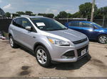 2014 Ford Escape Se Silver vin: 1FMCU0GX3EUC21396