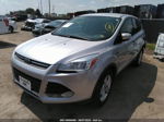 2014 Ford Escape Se Silver vin: 1FMCU0GX3EUC21396