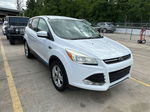 2014 Ford Escape Se White vin: 1FMCU0GX3EUC31295