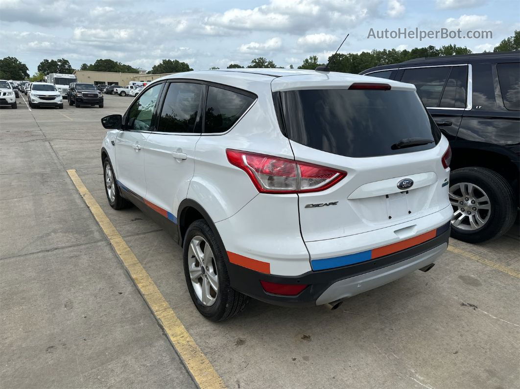 2014 Ford Escape Se White vin: 1FMCU0GX3EUC31295