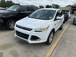 2014 Ford Escape Se Белый vin: 1FMCU0GX3EUC31295