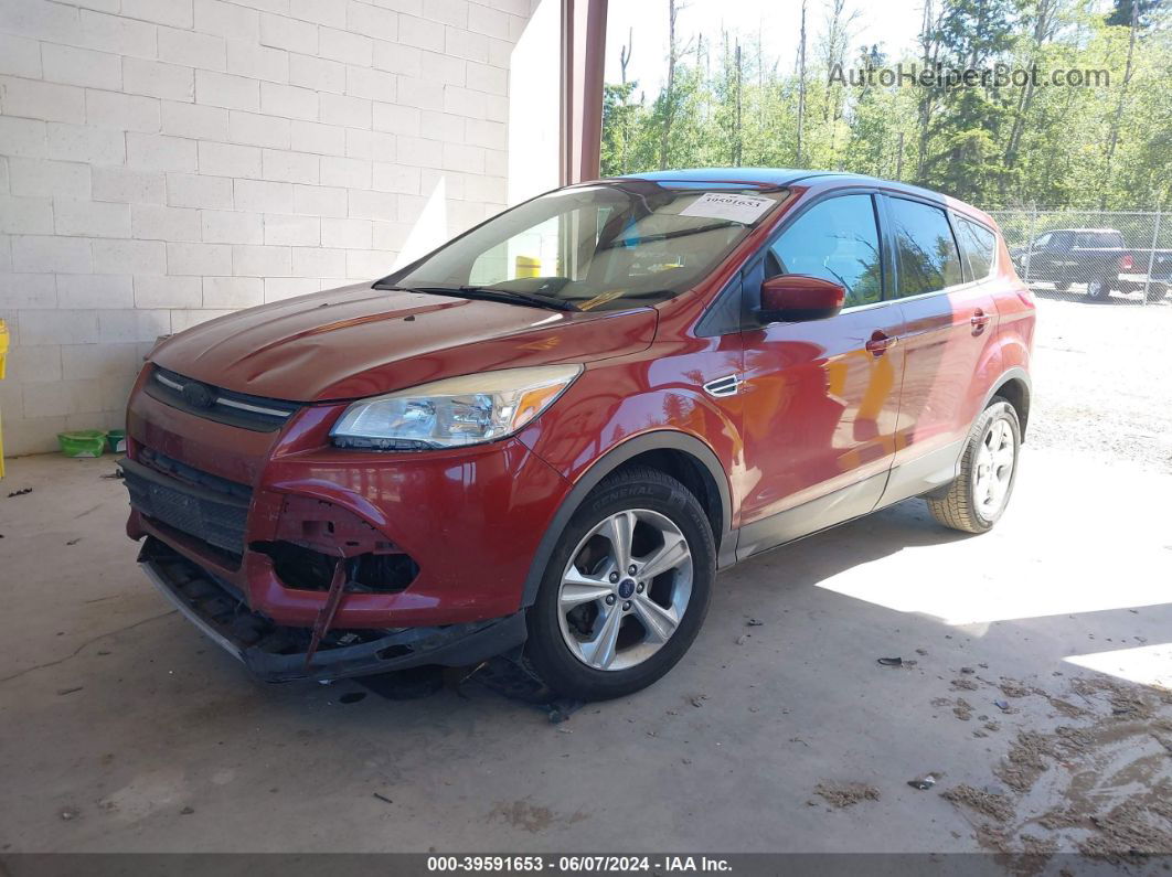 2014 Ford Escape Se Red vin: 1FMCU0GX3EUD03287