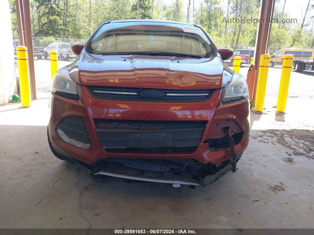 2014 Ford Escape Se Red vin: 1FMCU0GX3EUD03287