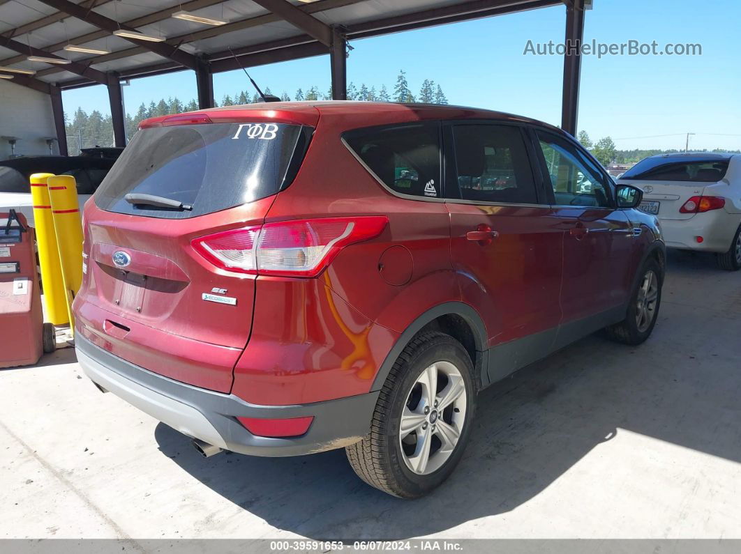 2014 Ford Escape Se Red vin: 1FMCU0GX3EUD03287