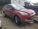 2015 Ford Escape Se Burgundy vin: 1FMCU0GX3FUC59728