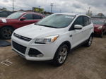 2015 Ford Escape Se White vin: 1FMCU0GX3FUC63634