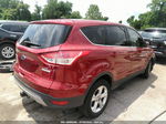 2015 Ford Escape Se Красный vin: 1FMCU0GX3FUC72947