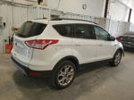 2016 Ford Escape Se Белый vin: 1FMCU0GX3GUC06884