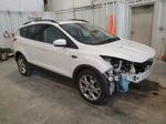 2016 Ford Escape Se Белый vin: 1FMCU0GX3GUC06884