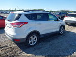 2013 Ford Escape Se White vin: 1FMCU0GX4DUB28272