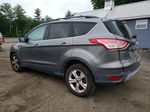 2014 Ford Escape Se Gray vin: 1FMCU0GX4EUA67006