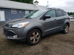 2014 Ford Escape Se Gray vin: 1FMCU0GX4EUA67006