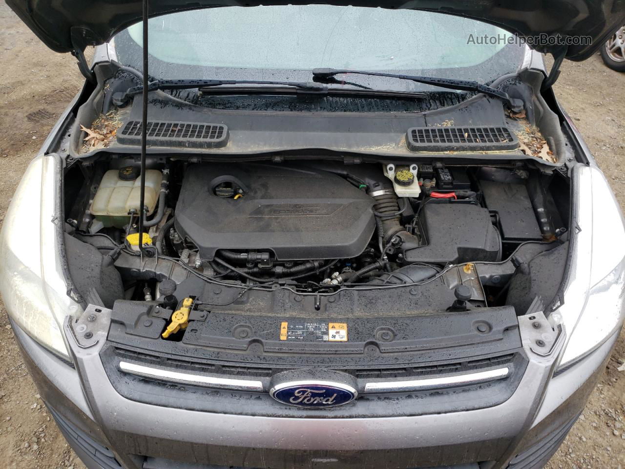 2014 Ford Escape Se Gray vin: 1FMCU0GX4EUA67006