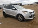 2014 Ford Escape Se Silver vin: 1FMCU0GX4EUA84761