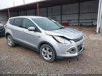 2014 Ford Escape Se Silver vin: 1FMCU0GX4EUC45965