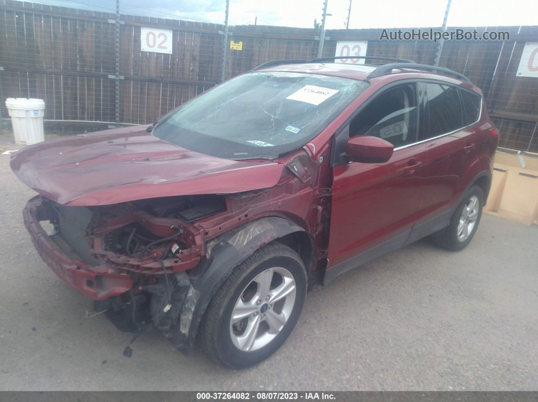 2014 Ford Escape Se Красный vin: 1FMCU0GX4EUE04273