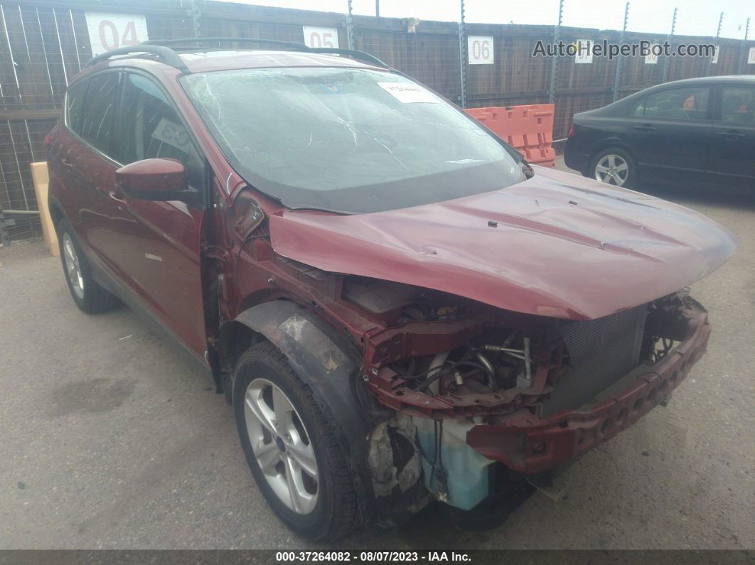 2014 Ford Escape Se Красный vin: 1FMCU0GX4EUE04273