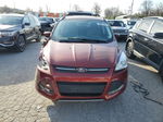 2014 Ford Escape Se Темно-бордовый vin: 1FMCU0GX4EUE28072