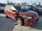 2014 Ford Escape Se Maroon vin: 1FMCU0GX4EUE28072