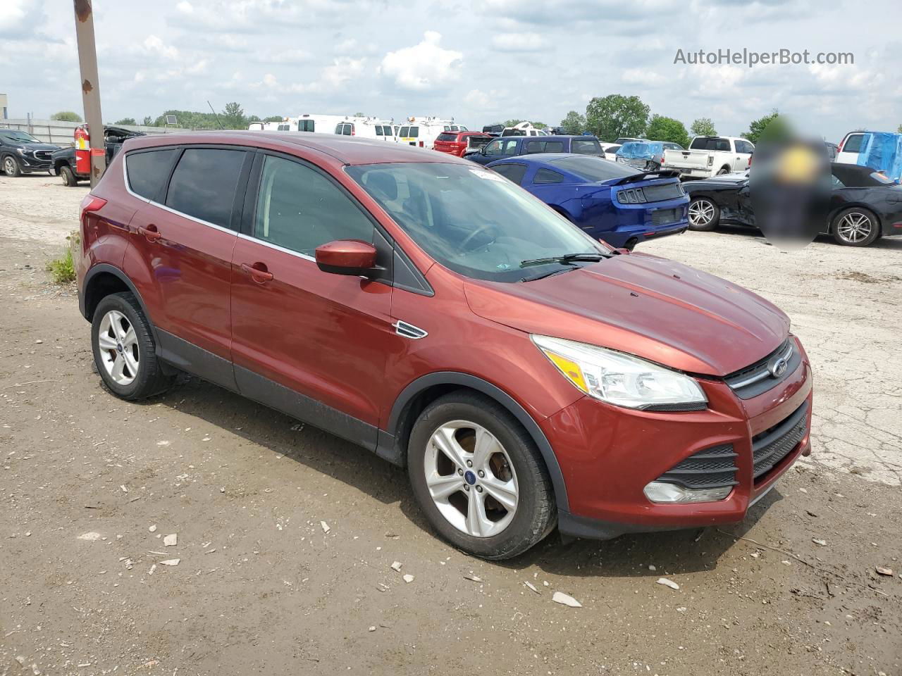 2015 Ford Escape Se Burgundy vin: 1FMCU0GX4FUA24464